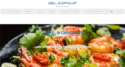 Desktop Screenshot of gelgroup.net